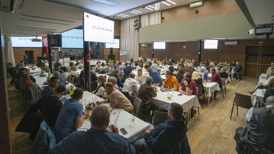 Akce PREFA Býk roku 2025