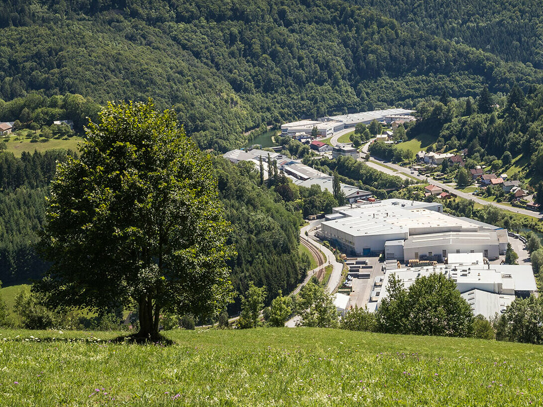 Pohled na výrobní závod PREFA v rakouském Marktlu z jednoho z okolních kopců, v popředí stojí na zelené louce strom, v pozadí je vidět rozlehlé lilienfeldské lesy