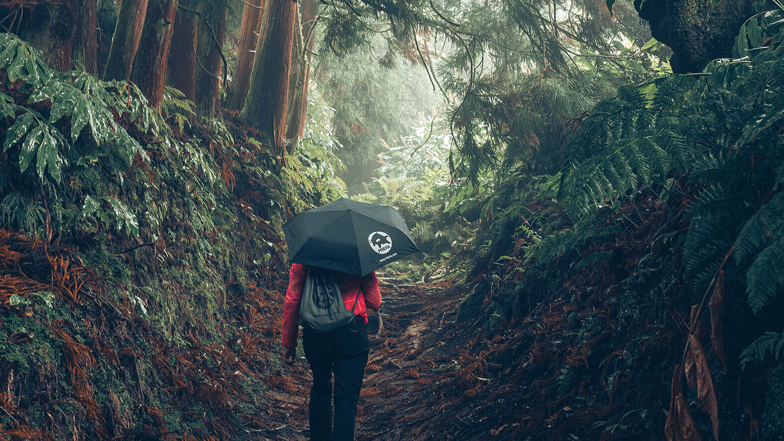 Snímek z lesa s turistkou v červené bundě s deštníkem PREFA a sportovním vakem na zádech symbolizuje ochranu životního prostředí a udržitelnost PREFA, cirkulární ekonomiku a recyklaci